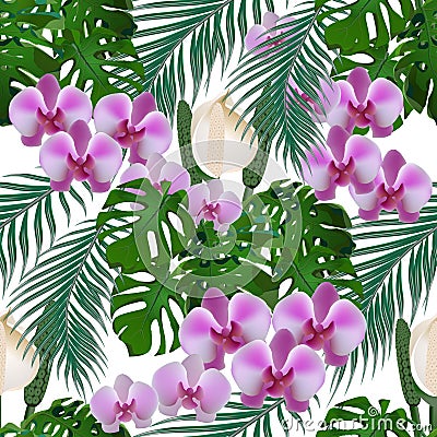 Jungle. Green tropical leaf, flowers of orchids and monsters, palm leaves. Seamless. Isolated on white background Vector Illustration