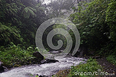 Jungle hike in Bali Indonesia and river Stock Photo