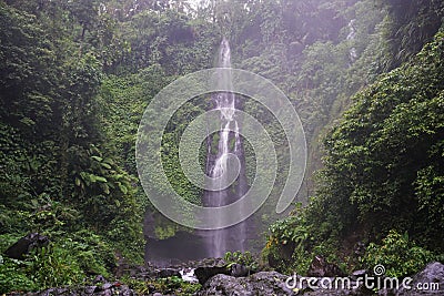 Jungle hike in Bali Indonesia very green plants and waterfall Stock Photo