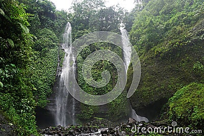 Jungle hike in Bali Indonesia very green plants and waterfall Stock Photo