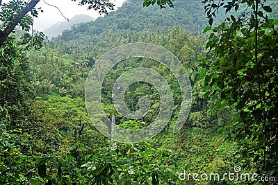 Jungle hike in Bali Indonesia and waterfall Stock Photo