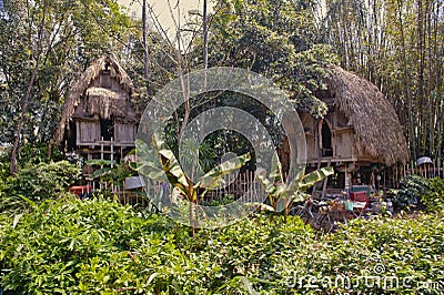 Jungle huts Stock Photo