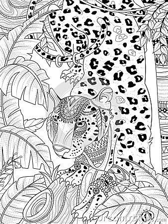 Jungle Leopard Coloring Page Stock Illustration - Image: 70974620