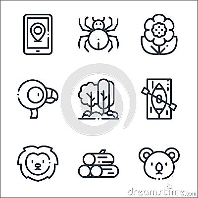 Jungle line icons. linear set. quality vector line set such as koala, wood, lion, canoe, trees, flamingo, flower, spider Vector Illustration