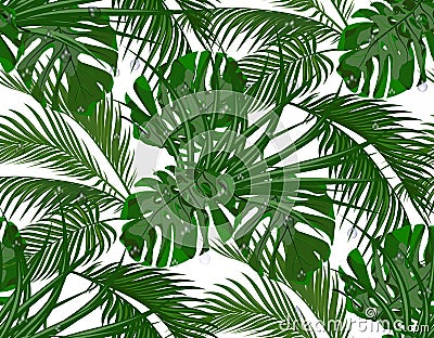 Jungle. Lush green. leaves of tropical palm trees, monstera, agaves. Seamless. Isolated on white background Vector Illustration