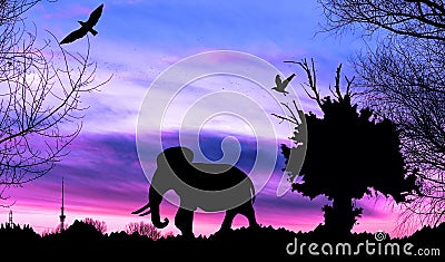 Jungle with old tree, birds and elephant on purple cloudy sunset Stock Photo