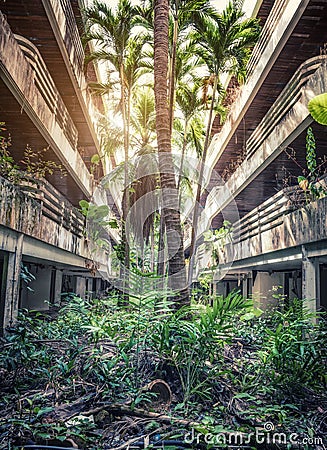 Jungle overgrown buildings Stock Photo