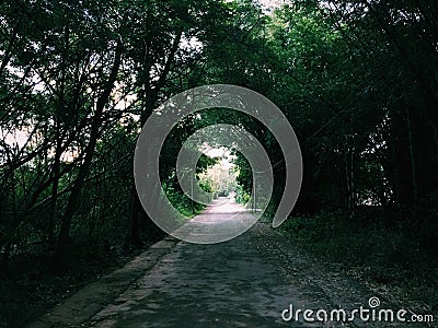 The jungle path, just go ahead Stock Photo