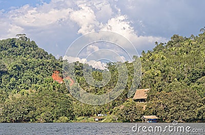 Jungle retreat hut Editorial Stock Photo