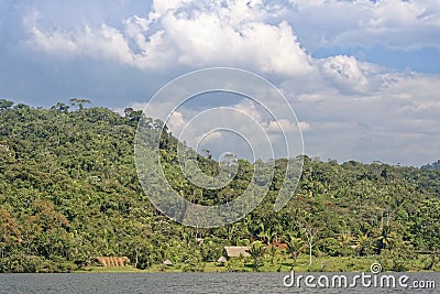 Jungle retreat Editorial Stock Photo