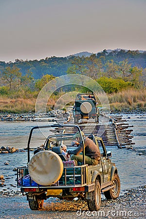 Jungle safari at Corbett National Park Editorial Stock Photo