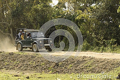 jungle safari tourist vehicle moves inside the reserve forest Editorial Stock Photo