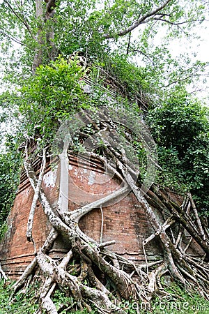 Jungle Temple in Cambodia Stock Photo