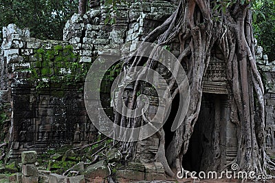 Jungle temple ta som in cambodia Stock Photo