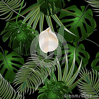 Jungle. Thickets of tropical palm leaves. Flower and monster leaves. Seamless floral pattern. Isolated on black Vector Illustration