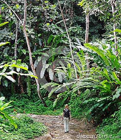 Jungle trail at Trinidad Stock Photo