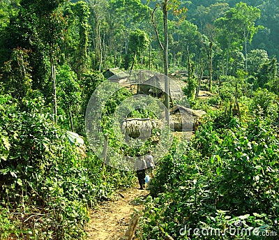 Jungle trek Stock Photo