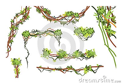 Jungle vine branches. Cartoon hanging liana plants. Jungle climbing green plant vector collection Vector Illustration