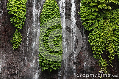 Jungle Waterfall Stock Photo