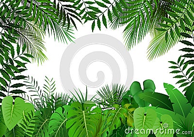 Jungle on white background Vector Illustration