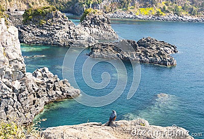 Jungmun Daepo Haean Jusangjeollidae at Jeju Island Stock Photo