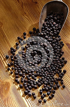 Juniper berries Stock Photo