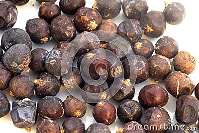 Juniper berries Stock Photo