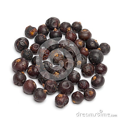 Juniper berries Stock Photo