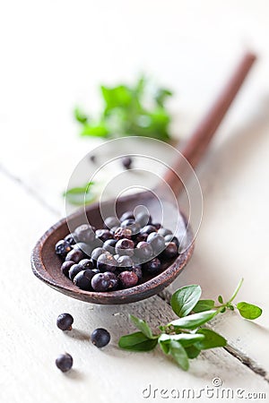 Juniper berries Stock Photo