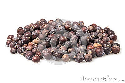 Juniper berries Stock Photo