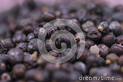 Juniper berries scattered Stock Photo