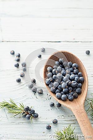 Juniper Berries Stock Photo