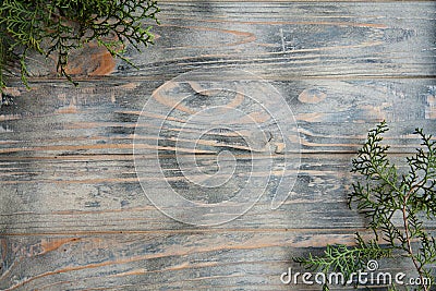Juniper branches decor wooden background timber Stock Photo