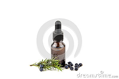 Juniper latin Juniperus communis berry essential oil in brown dropper bottle. Stock Photo
