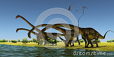 Jurassic Barosaurus Dinosaurs Stock Photo