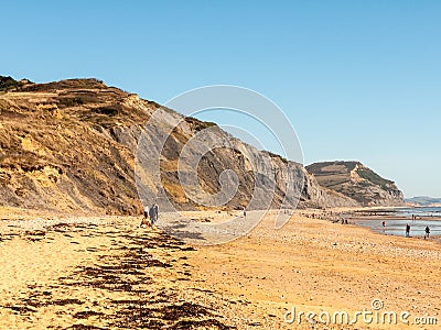 jurassic coast Charmouth dorset cliffs rocks landscape nature to Editorial Stock Photo