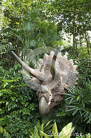 Jurassic dinosaur Triceratops in the forest Stock Photo