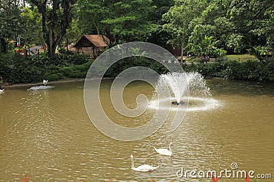 Jurong Bird Park in Singapore Stock Photo