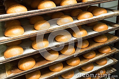 Just baked hot small sweet buns Stock Photo