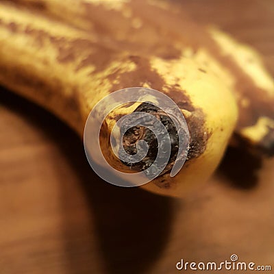 Banana Bread Bananas- It`s Banana Bread Time Stock Photo