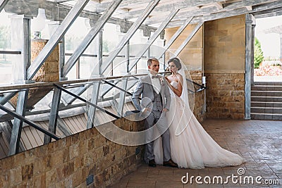 Just married couple of beautiful groom in a gray business suit and a bride in a luxurious white dress with a veil with Stock Photo