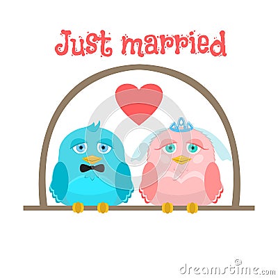 Just married. Cute birds - the bride and groom. greeting card. Vector Illustration