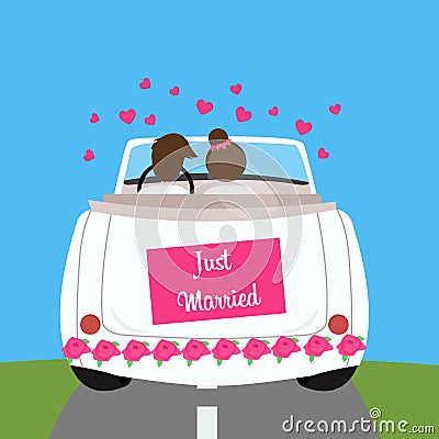 Just married wedding car couple honeymoon marriage Vector Illustration