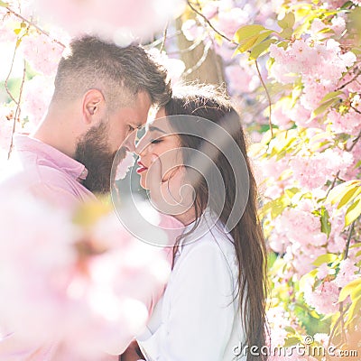 Just one kiss. Bearded man hug sensual woman. Couple in love among blossoming trees. Valentines day concept. Desire and Stock Photo