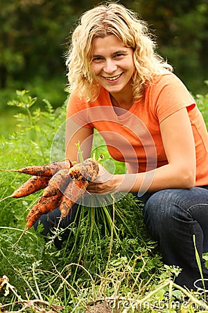 Just picked fresh organic carrots Stock Photo