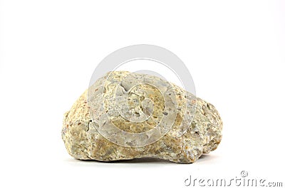 Just a rock Stock Photo