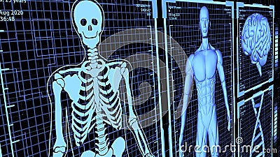 8K 3D Rendered HUD Muscular anatomical man Body, Brain, and DNA including Skeleton in body analysis concept background ver.2 Stock Photo