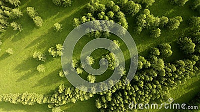 4K Luft: Fliegen über wunderschönen grünen Bäumen, die auf großen Bergen auf der tropischen Insel in sonniger Sommer wachsen stock footage 4K Luft: Fliegen über wunderschönen grünen Bäumen, die auf großen Bergen auf der tropischen Insel in sonniger Sommer wachsen stock footage