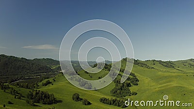 4K Luft: Fliegen über wunderschönen grünen Bäumen, die auf großen Bergen auf der tropischen Insel in sonniger Sommer wachsen stock video 4K Luft: Fliegen über wunderschönen grünen Bäumen, die auf großen Bergen auf der tropischen Insel in sonniger Sommer wachsen stock video
