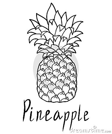Pineapple isolated on white backgraund Vector Illustration